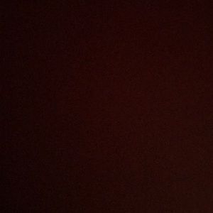 Meet your Posher, Anika